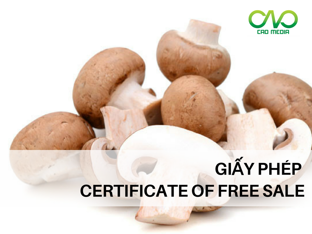 giay-phep-luu-hanh-tu-do-certificate-of-free-sale