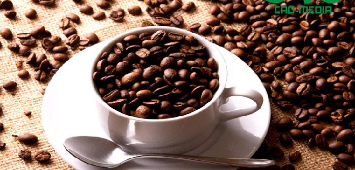 Công bố tiêu chuẩn chất lượng cà phê
