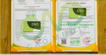 Dịch vụ cấp giấy chứng nhận HACCP