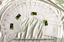 Công bố cơm cháy nước mắm